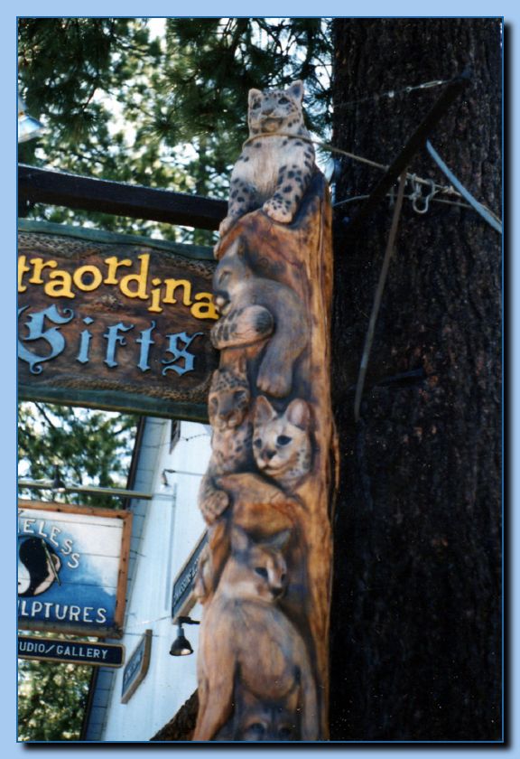 2-13 vertical cat collage-archive-0008